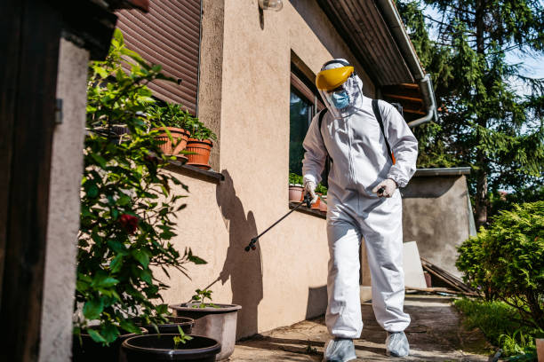 Best Mosquito Control Services  in Thiells, NY