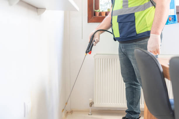 Best Rat Extermination Near Me  in Thiells, NY
