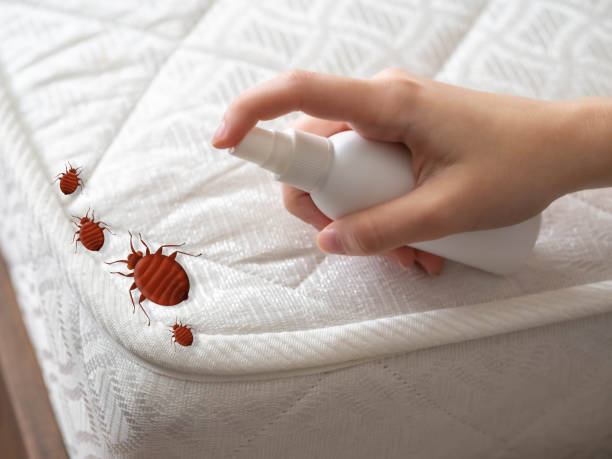 Trusted Thiells, NY Pest Control Experts
