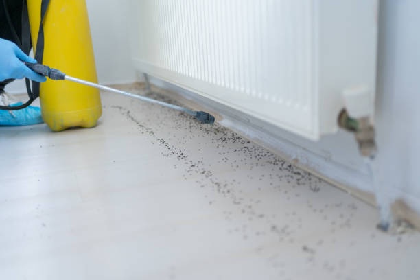 Best Cockroach Control Services  in Thiells, NY