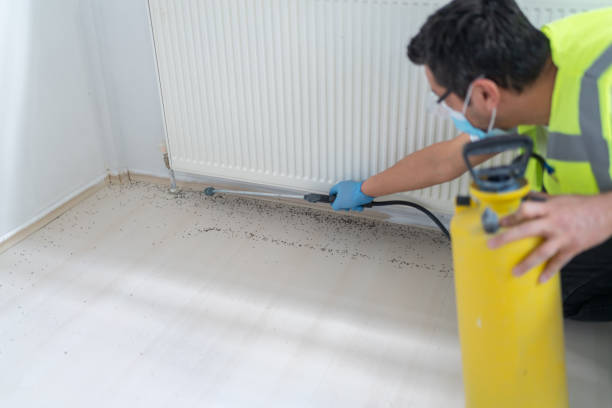Best Pest Control for Businesses  in Thiells, NY